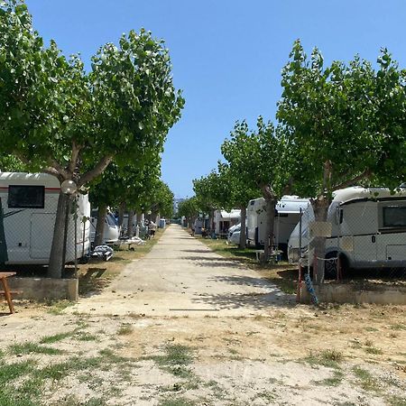 Camping Adriatico Ξενοδοχείο Martinsicuro Εξωτερικό φωτογραφία